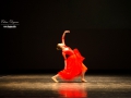 DSC_2696_web