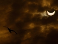 Eclissi a Trieste