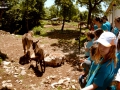 2° pedalata enogastronomica