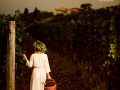 Vignetti